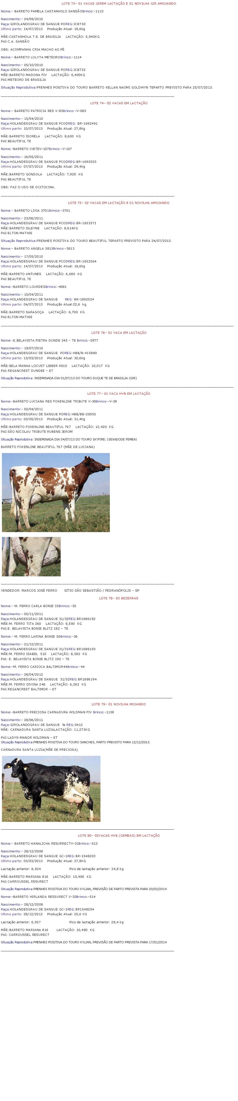 Caixa de texto: LOTE 73 01 VACAS GIREM LACTAO E 01 NOVILHA GIR AMOJANDONome:- BARRETO PAMELA CASTANHOLO SANSOBrinco:-1110Nascimento:- 24/09/2010Raa:GIROLANDOGRAU DE SANGUE POREG:JCBT30Ultimo parto: 14/07/2013	Produo Atual: 18,6kgME:CASTANHOLA T.E. DE BRASILIA    LACTAO: 5,840KGPAI:C.A. SANSOOBS: ACOMPANHA CRIA MACHO AO PNome:- BARRETO LOLYTA METEOROBrinco:-1114Nascimento:- 05/10/2010Raa:GIROLANDOGRAU DE SANGUE POREG:JCBT32ME:BARRETO MADONA FIV    LACTAO: 6,400KGPAI:METEORO DE BRASILIA Situao Reprodutiva:PRENHES POSITIVA DO TOURO BARRETO KELLAN NAOMI GOLDWYN TEPARTO PREVISTO PARA 25/07/2013. _____________________________________________________________________________________LOTE 74 02 VACAS EM LACTAO Nome:- BARRETO PATRICIA RED V-83Brinco:-V-083Nascimento:- 15/04/2010Raa:HOLANDESGRAU DE SANGUE PCODREG: BR-1692491Ultimo parto: 10/07/2013	Produo Atual: 27,8kgME:BARRETO ISORELA    LACTAO: 8,600  KGPAI:BEAUTIFUL TENome:-BARRETO IVETEV-107Brinco:-V-107Nascimento:- 16/05/2011Raa:HOLANDESGRAU DE SANGUE PCODREG:BR-1692503Ultimo parto: 07/07/2013	Produo Atual: 29,4kgME:BARRETO GONDOLA    LACTAO: 7,920  KGPAI:BEAUTIFUL TEOBS: FAZ O USO DE OCITOCINA._____________________________________________________________________________________LOTE 75 02 VACAS EM LACTAO E 01 NOVILHA AMOJANDONome:- BARRETO LIVIA 3701Brinco:-3701Nascimento:- 23/06/2011Raa:HOLANDESGRAU DE SANGUE PCODREG:BR-1653371ME:BARRETO ISLEYNE    LACTAO: 8,614KGPAI:ELTON MATHIESituao Reprodutiva:PRENHES POSITIVA DO TOURO BEAUTIFUL TEPARTO PREVISTO PARA 24/07/2013. Nome:- BARRETO ANGELA 3813Brinco:-3813Nascimento:- 17/05/2010Raa:HOLANDESGRAU DE SANGUE PCODREG:BR-1652564Ultimo parto: 14/07/2013	Produo Atual: 18,6kgME:BARRETO ANTUNES    LACTAO: 6,680  KGPAI:BEAUTIFUL TENome:-BARRETO LOURDESBrinco:-4081Nascimento:- 10/04/2011Raa:HOLANDESGRAU DE SANGUE      REG: BR-1692524Ultimo parto: 04/07/2013	Produo Atual:22,6  kgME:BARRETO SARAGOA    LACTAO: 6,700  KGPAI:ELTON MATHIE__________________________________________________________________________________________________________________LOTE 76 01 VACA EM LACTAO Nome:-E.BELAVISTA PIETRA DUNDE 345  TE Brinco:-2977Nascimento:- 19/07/2010Raa:HOLANDESGRAU DE SANGUE  POREG:HBB/B-415880Ultimo parto: 13/03/2013	Produo Atual: 30,6kgME:BELA MANHA LOCUST LIBBER 4910    LACTAO: 10,017  KGPAI:REGANCREST DUNDEE  ET Situao Reprodutiva: INSEMINADA DIA 01/07/13 DO TOURO DUQUE TE DE BRASILIA (GIR)__________________________________________________________________________________________________________________LOTE 77 01 VACA HVB EM LACTAO Nome:-BARRETO LUCIANA RED FOKENLINE TRIBUTE V-38Brinco:-V-38Nascimento:- 02/04/2011Raa:HOLANDESGRAU DE SANGUE POREG:HBB/BB-20955Ultimo parto: 03/05/2013	Produo Atual: 31,4kgME:BARRETO FOKENLINE BEAUTIFUL 767    LACTAO: 12,420  KGPAI:SO NICOLAU TRIBUTE RUBENS JEROMSituao Reprodutiva: INSEMINADA DIA 04/07/13 DO TOURO SKYFIRE. (SEXADODE FEMEA)BARRETO FOKENLINE BEAUTIFUL 767 (ME DE LUCIANA)￼￼_____________________________________________________________________________________VENDEDOR: MARCOS JOS FERRO      STIO SO SEBASTIO / PEDRANPOLIS  SP LOTE 78 03 BEZERRASNome:- M. FERRO CARLA BONIE 35Brinco:-35Nascimento:- 05/11/2011Raa:HOLANDESGRAU DE SANGUE 31/32REG:BR1686192ME:M. FERRO TITA 260    LACTAO: 8,590  KGPAI:E. BELAVISTA BONIE BLITZ 192  TE Nome:- M. FERRO LARINA BONIE 36Brinco:-36Nascimento:- 21/12/2011Raa:HOLANDESGRAU DE SANGUE 31/31REG:BR1686193ME:M. FERRO ISABEL  510    LACTAO: 8,582  KGPAI: E. BELAVISTA BONIE BLITZ 192  TE Nome:-M. FERRO CARIOCA BALTIMOR44Brinco:-44Nascimento:- 28/04/2012Raa:HOLANDESGRAU DE SANGUE  31/32REG:BR1686194ME:M. FERRO DIVINA 246    LACTAO: 6,262  KGPAI:REGANCREST BALTIMOR  ET _____________________________________________________________________________________________LOTE 79 01 NOVILHA MOJANDONome:-BARRETO PRECIOSA CARNADURA WILDMAN FIV Brinco:-1138Nascimento:- 28/06/2011Raa:GIROLANDOGRAU DE SANGUE   REG:0412ME: CARNADURA SANTA LUZIALACTAO: 11,273KGPAI:LADYS-MANOR WILDMAN  ET Situao Reprodutiva:PRENHES POSITIVA DO TOURO SANCHES, PARTO PREVISTO PARA 12/12/2013.CARNADURA SANTA LUZIA(ME DE PRECIOSA)￼______________________________________________________________________________________________LOTE 80 02VACAS HVB (GEMEAS) EM LACTAONome:- BARRETO HANALICHA RESURRECTV-31Brinco:-513Nascimento:- 28/12/2008Raa:HOLANDESGRAU DE SANGUE GC-1REG:BR-1548203Ultimo parto: 03/03/2013	Produo Atual: 27,8KGLactao anterior: 8,504                         Pico de lactao anterior: 34,8 kgME:BARRETO MARIANA 816    LACTAO: 10,480  KGPAI:CARROUSSEL RESURECTSituao Reprodutiva:PRENHES POSITIVA DO TOURO KYLIAN, PREVISO DE PARTO PREVISTA PARA 20/02/2014Nome:-BARRETO HIRLANDA RESSURECT V-32Brinco:-514Nascimento:- 28/12/2008Raa:HOLANDESGRAU DE SANGUE GC-1REG:BR1548204Ultimo parto: 28/12/2012	Produo Atual: 25,6 KGLactao anterior: 6,927                         Pico de lactao anterior: 28,4 kgME:BARRETO MARIANA 816       LACTAO: 10,480  KGPAI: CARROUSSEL RESURECTSituao Reprodutiva:PRENHES POSITIVA DO TOURO KYLIAN, PREVISO DE PARTO PREVISTA PARA 17/01/2014______________________________________________________________________________________________