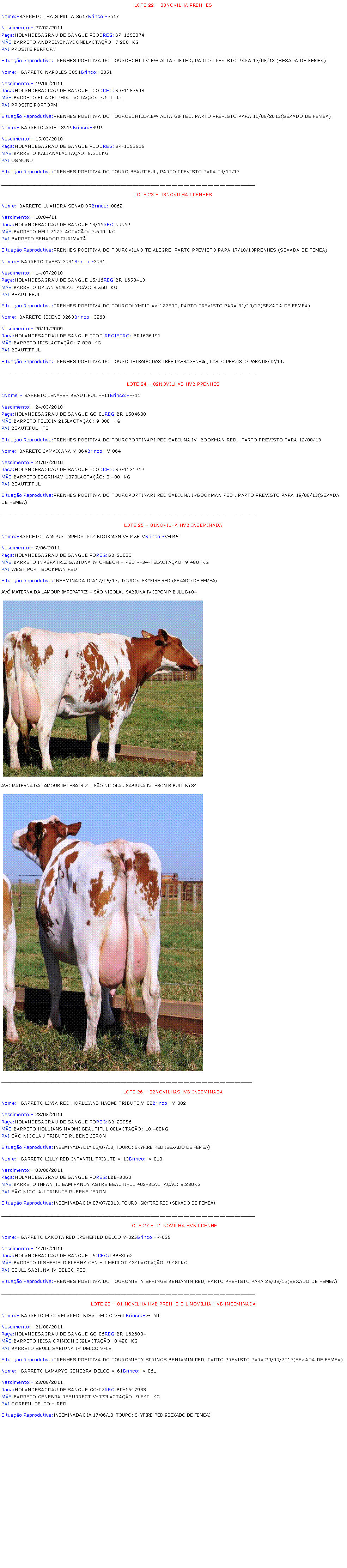Caixa de texto: LOTE 22  03NOVILHA PRENHESNome:-BARRETO THAIS MILLA 3617Brinco:-3617Nascimento:- 27/02/2011Raa:HOLANDESAGRAU DE SANGUE PCODREG:BR-1653374ME:BARRETO ANDREIASKAYDONELACTAO: 7.280  KGPAI:PROSITE PERFORMSituao Reprodutiva:PRENHES POSITIVA DO TOUROSCHILLVIEW ALTA GIFTED, PARTO PREVISTO PARA 13/08/13 (SEXADA DE FEMEA)Nome:- BARRETO NAPOLES 3851Brinco:-3851Nascimento:- 19/06/2011Raa:HOLANDESAGRAU DE SANGUE PCODREG:BR-1652548ME:BARRETO FILADELPHIA LACTAO: 7.600  KGPAI:PROSITE PORFORMSituao Reprodutiva:PRENHES POSITIVA DO TOUROSCHILLVIEW ALTA GIFTED, PARTO PREVISTO PARA 16/08/2013(SEXADO DE FEMEA)Nome:- BARRETO ARIEL 3919Brinco:-3919Nascimento:- 15/03/2010Raa:HOLANDESAGRAU DE SANGUE PCODREG:BR-1652515ME:BARRETO KALIANALACTAO: 8.300KGPAI:OSMONDSituao Reprodutiva:PRENHES POSITIVA DO TOURO BEAUTIFUL, PARTO PREVISTO PARA 04/10/13_____________________________________________________________________________________LOTE 23  03NOVILHA PRENHESNome:-BARRETO LUANDRA SENADORBrinco:-0862Nascimento:- 18/04/11Raa:HOLANDESAGRAU DE SANGUE 13/16REG:9996PME:BARRETO HELI 2177LACTAO: 7.600  KGPAI:BARRETO SENADOR CURIMATSituao Reprodutiva:PRENHES POSITIVA DO TOUROVILAO TE ALEGRE, PARTO PREVISTO PARA 17/10/13PRENHES (SEXADA DE FEMEA)Nome:- BARRETO TASSY 3931Brinco:-3931Nascimento:- 14/07/2010Raa:HOLANDESAGRAU DE SANGUE 15/16REG:BR-1653413ME:BARRETO DYLAN 514LACTAO: 8.560  KGPAI:BEAUTIFFULSituao Reprodutiva:PRENHES POSITIVA DO TOUROOLYMPIC AX 122890, PARTO PREVISTO PARA 31/10/13(SEXADA DE FEMEA)Nome:-BARRETO IDIENE 3263Brinco:-3263Nascimento:- 20/11/2009Raa:HOLANDESAGRAU DE SANGUE PCOD REGISTRO: BR1636191ME:BARRETO IRISLACTAO: 7.828  KGPAI:BEAUTIFFULSituao Reprodutiva:PRENHES POSITIVA DO TOUROLISTRADO DAS TRS PASSAGENS , PARTO PREVISTO PARA 08/02/14._____________________________________________________________________________________LOTE 24  02NOVILHAS HVB PRENHES1Nome:- BARRETO JENYFER BEAUTIFUL V-11Brinco:-V-11Nascimento:- 24/03/2010Raa:HOLANDESAGRAU DE SANGUE GC-01REG:BR-1584608ME:BARRETO FELICIA 215LACTAO: 9.300  KGPAI:BEAUTIFUL TE Situao Reprodutiva:PRENHES POSITIVA DO TOUROPORTINARI RED SABIUNA IV  BOOKMAN RED , PARTO PREVISTO PARA 12/08/13  Nome:-BARRETO JAMAICANA V-064Brinco:-V-064Nascimento:- 21/07/2010Raa:HOLANDESAGRAU DE SANGUE PCODREG:BR-1636212ME:BARRETO ESGRIMAV-1373LACTAO: 8.400  KGPAI:BEAUTIFFULSituao Reprodutiva:PRENHES POSITIVA DO TOUROPORTINARI RED SABIUNA IVBOOKMAN RED , PARTO PREVISTO PARA 19/08/13(SEXADA DE FEMEA)_____________________________________________________________________________________LOTE 25  01NOVILHA HVB INSEMINADANome:-BARRETO LAMOUR IMPERATRIZ BOOKMAN V-045FIVBrinco:-V-045Nascimento:- 7/06/2011Raa:HOLANDESAGRAU DE SANGUE POREG:BB-21033ME:BARRETO IMPERATRIZ SABIUNA IV CHEECH  RED V-34-TELACTAO: 9.480  KGPAI:WEST PORT BOOKMAN REDSituao Reprodutiva:INSEMINADA DIA17/05/13, TOURO: SKYFIRE RED (SEXADO DE FEMEA)AV MATERNA DA LAMOUR IMPERATRIZ  SO NICOLAU SABIUNA IV JERON R.BULL B+84￼AV MATERNA DA LAMOUR IMPERATRIZ  SO NICOLAU SABIUNA IV JERON R.BULL B+84￼____________________________________________________________________________________LOTE 26  02NOVILHASHVB INSEMINADANome:- BARRETO LIVIA RED HORLLIANS NAOMI TRIBUTE V-02Brinco:-V-002Nascimento:- 28/05/2011Raa:HOLANDESAGRAU DE SANGUE POREG:BB-20956ME:BARRETO HOLLIANS NAOMI BEAUTIFUL 88LACTAO: 10.400KGPAI:SO NICOLAU TRIBUTE RUBENS JERONSituao Reprodutiva:INSEMINADA DIA 03/07/13, TOURO: SKYFIRE RED (SEXADO DE FEMEA)Nome:- BARRETO LILLY RED INFANTIL TRIBUTE V-13Brinco:-V-013Nascimento:- 03/06/2011Raa:HOLANDESAGRAU DE SANGUE POREG:LBB-3060ME:BARRETO INFANTIL BAM PANDY ASTRE BEAUTIFUL 402-BLACTAO: 9.280KGPAI:SO NICOLAU TRIBUTE RUBENS JERONSituao Reprodutiva:INSEMINADA DIA 07/07/2013, TOURO: SKYFIRE RED (SEXADO DE FEMEA)_____________________________________________________________________________________LOTE 27  01 NOVILHA HVB PRENHENome:- BARRETO LAKOTA RED IRSHEFILD DELCO V-025Brinco:-V-025Nascimento:- 14/07/2011Raa:HOLANDESAGRAU DE SANGUE  POREG:LBB-3062ME:BARRETO IRSHEFIELD FLESHY GEN  I MERLOT 434LACTAO: 9.480KGPAI:SEULL SABIUNA IV DELCO REDSituao Reprodutiva:PRENHES POSITIVA DO TOUROMISTY SPRINGS BENJAMIN RED, PARTO PREVISTO PARA 25/08/13(SEXADO DE FEMEA)_____________________________________________________________________________________LOTE 28  01 NOVILHA HVB PRENHE E 1 NOVILHA HVB INSEMINADANome:- BARRETO MICCAELARED IBISA DELCO V-60Brinco:-V-060Nascimento:- 21/08/2011Raa:HOLANDESAGRAU DE SANGUE GC-06REG:BR-1626884ME:BARRETO IBISA OPINION 352LACTAO: 8.420  KGPAI:BARRETO SEULL SABIUNA IV DELCO V-08Situao Reprodutiva:PRENHES POSITIVA DO TOUROMISTY SPRINGS BENJAMIN RED, PARTO PREVISTO PARA 20/09/2013(SEXADA DE FEMEA)Nome:- BARRETO LAMARYS GENEBRA DELCO V-61Brinco:-V-061Nascimento:- 23/08/2011Raa:HOLANDESAGRAU DE SANGUE GC-02REG:BR-1647933ME:BARRETO GENEBRA RESURRECT V-022LACTAO: 9.840  KGPAI:CORBEIL DELCO  RED Situao Reprodutiva:INSEMINADA DIA 17/06/13, TOURO: SKYFIRE RED 9SEXADO DE FEMEA)