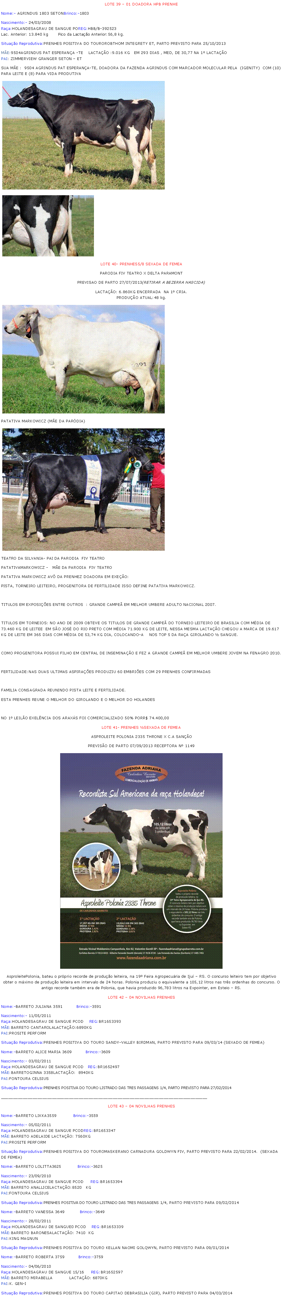 Caixa de texto: LOTE 39 � 01 DOADORA HPB PRENHENome:- AGRINDUS 1803 SETONBrinco:-1803Nascimento:- 24/03/2008Ra�a:HOLANDESAGRAU DE SANGUE POREG:HBB/B-392523Lac. Anterior: 13.840 kg       Pico da Lacta��o Anterior:56,8 kg.Situa��o Reprodutiva:PRENHES POSITIVA DO TOUROROBTHOM INTEGRETY ET, PARTO PREVISTO PARA 25/10/2013M�E:9504AGRINDUS PAT ESPERAN�A -TE    LACTA��O :9.016 KG   EM 293 DIAS , MED, DE 30,77 NA 1� LACTA��OPAI: ZIMMERVIEW GRANGER SETON � ET SUA M�E :  9504 AGRINDUS PAT ESPERAN�A-TE, DOADORA DA FAZENDA AGRINDUS COM MARCADOR MOLECULAR PELA  (IGENITY)  COM (10)PARA LEITE E (8) PARA VIDA PRODUTIVA      ￼￼LOTE 40- PRENHES5/8 SEXADA DE FEMEA PARODIA FIV TEATRO X DELTA PARAMONT PREVISAO DE PARTO 27/07/2013(RETIRAR A BEZERRA NASCIDA)LACTA��O: 6.860KG ENCERRADA  NA 1� CRIA.PRODU��O ATUAL:48 kg.￼PATATIVA MARKOWICZ (M�E DA PAR�DIA)￼TEATRO DA SILVANIA- PAI DA PARODIA  FIV TEATROPATATIVAMARKOWICZ -   M�E DA PARODIA  FIV TEATROPATATIVA MARKOWICZ AV� DA PRENHEZ DOADORA EM EXE��O:PISTA, TORNEIRO LEITEIRO, PROGENITORA DE FERTILIDADE ISSO DEFINE PATATIVA MARKOWICZ.TITULOS EM EXPOSI��ES ENTRE OUTROS  : GRANDE CAMPE� EM MELHOR UMBERE ADULTO NACIONAL 2007.TITULOS EM TORNEIOS: NO ANO DE 2009 OBTEVE OS TITULOS DE GRANDE CAMPE� DO TORNEIO LEITEIRO DE BRASILIA COM M�DIA DE 73.460 KG DE LEITEE  EM S�O JOS� DO RIO PRETO COM M�DIA 71.900 KG DE LEITE, NESSA MESMA LACTA��O CHEGOU A MARCA DE 19.617 KG DE LEITE EM 365 DIAS COM M�DIA DE 53,74 KG DIA, COLOCANDO-A    NOS TOP 5 DA RA�A GIROLANDO � SANGUE.COMO PROGENITORA POSSUI FILHO EM CENTRAL DE INSEMINA��O E FEZ A GRANDE CAMPE� EM MELHOR UMBERE JOVEM NA FENAGRO 2010.FERTILIDADE:NAS DUAS ULTIMAS ASPIRA��ES PRODUZIU 60 EMBRI�ES COM 29 PRENHES CONFIRMADASFAMILIA CONSAGRADA REUNINDO PISTA LEITE E FERTILIDADE.ESTA PRENHES REUNE O MELHOR DO GIROLANDO E O MELHOR DO HOLANDES NO 1� LEIL�O EXEL�NCIA DOS ARAX�S FOI COMERCIALIZADO 50% PORR$ 74.400,00LOTE 41- PRENHES �SEXADA DE FEMEAASPROLEITE POLONIA 2335 THRONE X C.A SAN��O PREVIS�O DE PARTO 07/09/2013 RECEPTORA N� 1149￼AsproleitePolonia, bateu o pr�prio recorde de produ��o leiteira, na 19� Feira Agropecu�ria de Iju� � RS. O concurso leiteiro tem por objetivo obter o m�ximo de produ��o leiteira em intervalo de 24 horas. Polonia produziu o equivalente a 105,12 litros nas tr�s ordenhas do concurso. O antigo recorde tamb�m era de Polonia, que havia produzido 96,783 litros na Expointer, em Esteio � RS.LOTE 42 � 04 NOVILHAS PRENHES Nome:-BARRETO JULIANA 3591          Brinco:-3591Nascimento:- 11/05/2011Ra�a:HOLANDESAGRAU DE SANGUE PCOD    REG:BR1653393M�E:BARRETO CANTAROLALACTA��O:6890KGPAI:PROSITE PERFORMSitua��o Reprodutiva:PRENHES POSITIVA DO TOURO SANDY-VALLEY BIRDMAN, PARTO PREVISTO PARA 09/03/14 (SEXADO DE FEMEA)Nome:-BARRETO ALICE MARIA 3609          Brinco:-3609Nascimento:- 03/02/2011Ra�a:HOLANDESAGRAU DE SANGUE PCOD   REG:BR1652497M�E:BARRETOGINNA 3358LACTA��O:  8940KGPAI:FONTOURA CELSIUSSitua��o Reprodutiva:PRENHES POSITIVA DO TOURO LISTRADO DAS TRES PASSAGENS 1/4, PARTO PREVISTO PARA 27/02/2014_____________________________________________________________________________________LOTE 43 � 04 NOVILHAS PRENHES Nome:-BARRETO LIKKA3559            Brinco:-3559Nascimento:- 05/02/2011Ra�a:HOLANDESAGRAU DE SANGUE PCODREG:BR1653347M�E:BARRETO ADELAIDE LACTA��O: 7560KGPAI:PROSITE PERFORMSitua��o Reprodutiva:PRENHES POSITIVA DO TOUROMASKERANO CARNADURA GOLDWYN FIV, PARTO PREVISTO PARA 22/02/2014.  (SEXADA DE FEMEA)Nome:-BARRETO LOLITTA3625            Brinco:-3625Nascimento:- 23/09/2010Ra�a:HOLANDESAGRAU DE SANGUE PCOD     REG:BR1653394M�E:BARRETO ANALLICELACTA��O:8520   KGPAI:FONTOURA CELSIUSSitua��o Reprodutiva:PRENHES POSITIVA DO TOURO LISTRADO DAS TRES PASSAGENS 1/4, PARTO PREVISTO PARA 09/02/2014Nome:-BARRETO VANESSA 3649           Brinco:-3649Nascimento:- 28/02/2011Ra�a:HOLANDESAGRAU DE SANGUE0 PCOD    REG:BR1653339M�E:BARRETO BARONESALACTA��O: 7410  KGPAI:KING MAGNUNSitua��o Reprodutiva:PRENHES POSITIVA DO TOURO KELLAN NAOMI GOLQWYN, PARTO PREVISTO PARA 09/01/2014Nome:-BARRETO ROBERTA 3759          Brinco:-3759Nascimento:- 04/06/2010Ra�a:HOLANDESAGRAU DE SANGUE 15/16     REG:BR1652597M�E:BARRETO MIRABELLA            LACTA��O: 6870KGPAI:K. GEN-ISitua��o Reprodutiva:PRENHES POSITIVA DO TOURO CAPITAO DEBRASILIA (GIR), PARTO PREVISTO PARA 04/03/2014