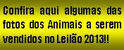 Caixa de texto: Confira aqui algumas das fotos dos Animais a serem vendidos no Leilo 2013!!